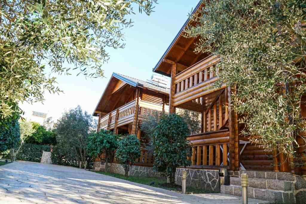 Wooden bungalows with balconies among olive trees